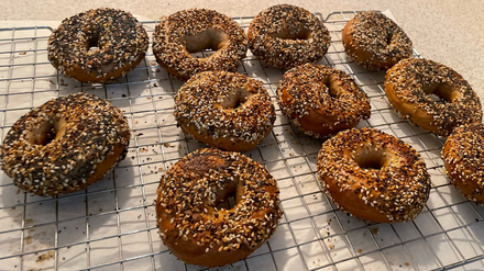 Sourdough Bagels